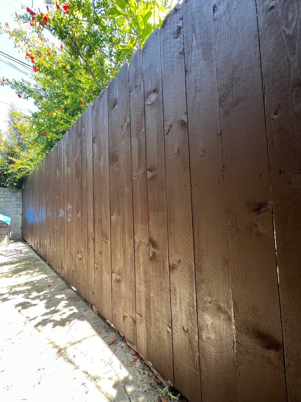 Wood privacy fence freshly stained dark brown in Triangle NC backyard